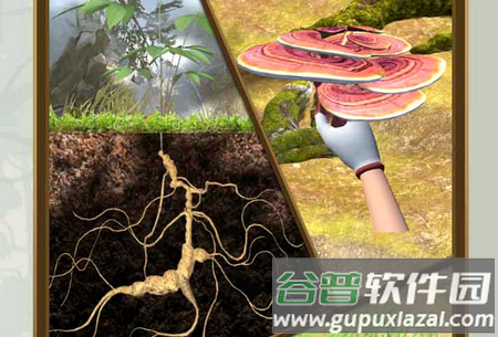 夺笋高手测试服 夺笋高手测试服