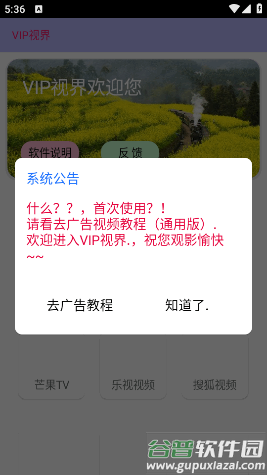 VIP视界修复版