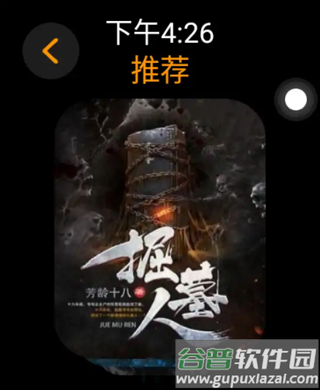 有声书app手表提取版