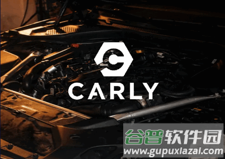 OBD2汽车检测软件专业版(Carly)