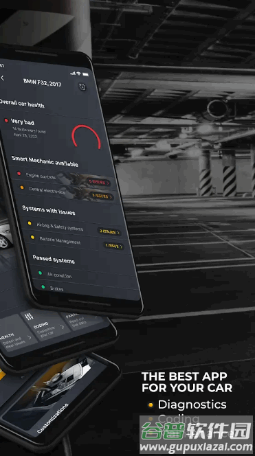 OBD2汽车检测软件专业版(Carly)