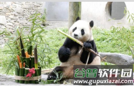 封底新闻客户端