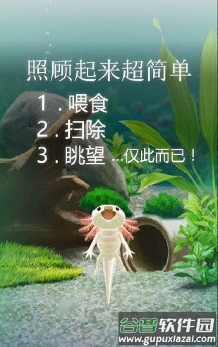 治愈的蝾螈截图2
