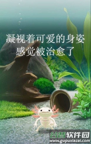 治愈的蝾螈截图3