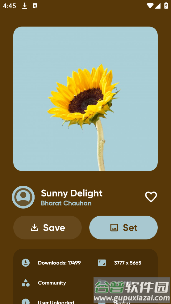 backdrops安卓版截图4
