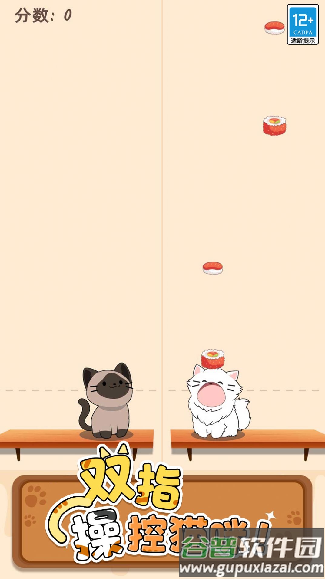 萌猫爱音乐