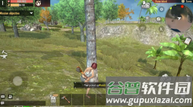 代号岛屿Project: Island截图3