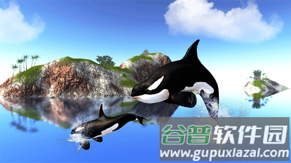 虎鲸模拟器下载(The Killer Whale)截图1