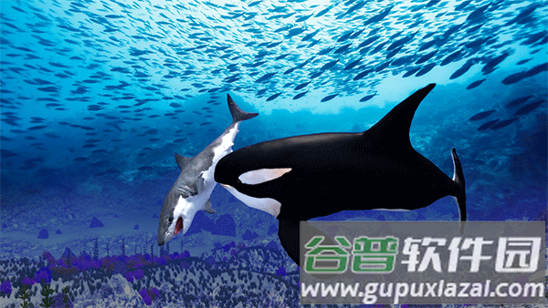 虎鲸模拟器下载(The Killer Whale)截图2