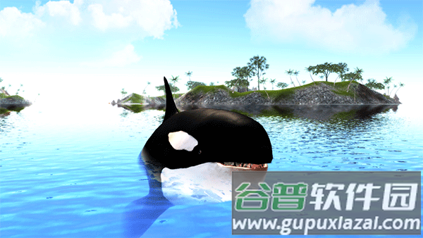 虎鲸模拟器下载(The Killer Whale)截图3