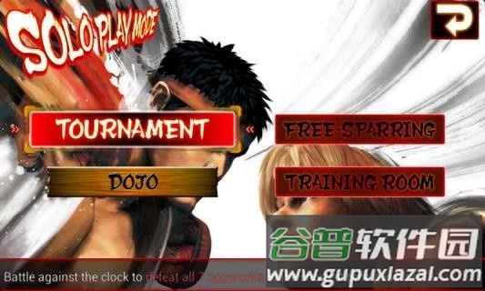 SF IV CE installer手机版下载截图4