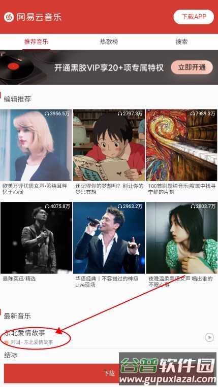 网易云下载器安卓版