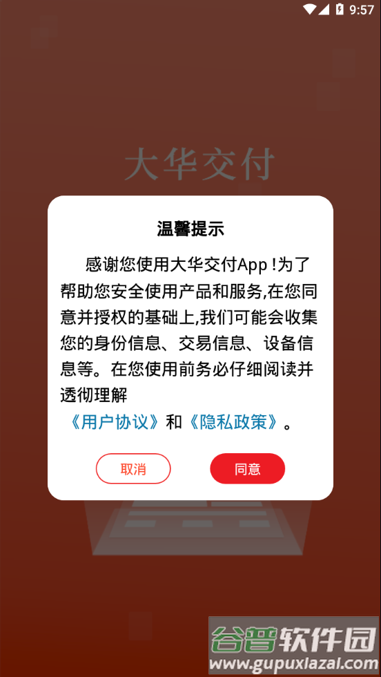 大华交付app