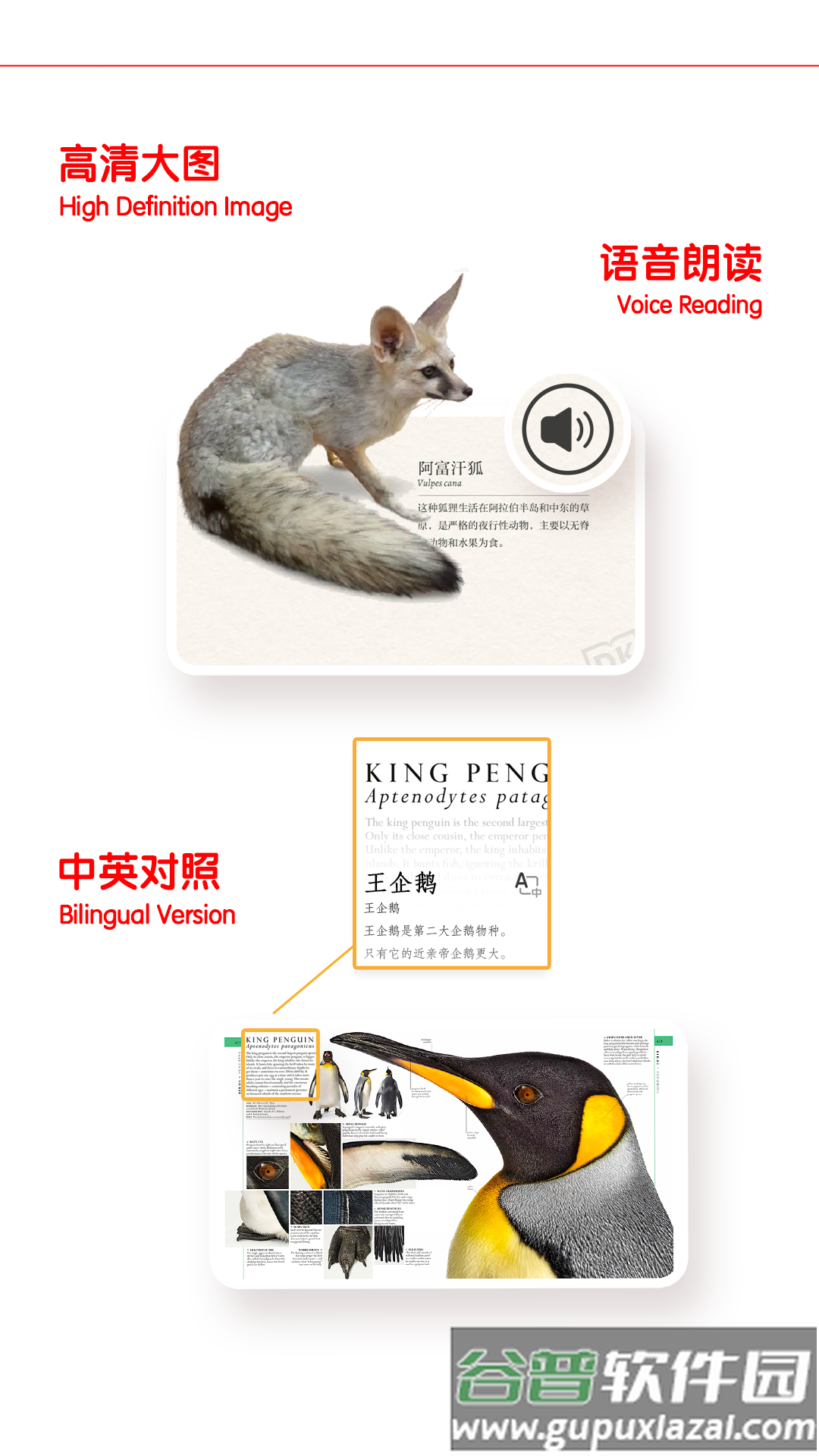 千奇百科岛app截图5