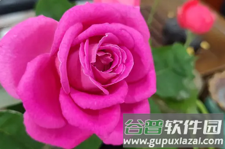 永年论坛客户端