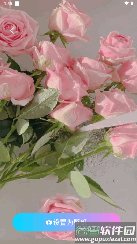 动听铃声app下载免费版截图2