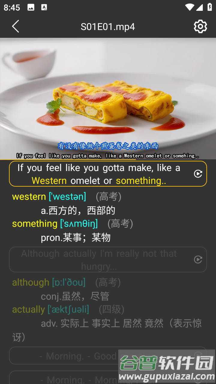 单词播放器app下载截图3
