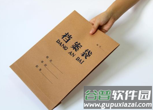 个人档案查询网上查询系统 个人档案查询网上查询系统