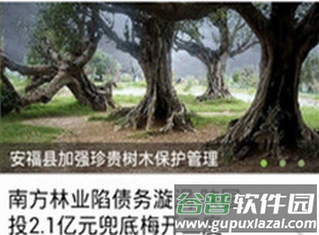 掌上林业采集版安卓下载 掌上林业采集版安卓下载