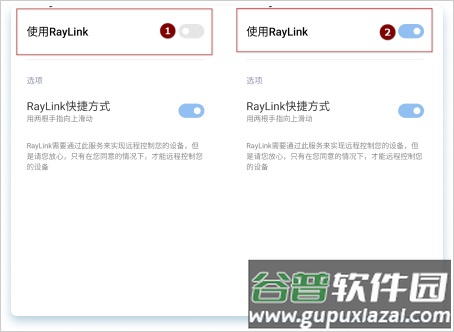 RayLink远程控制软件