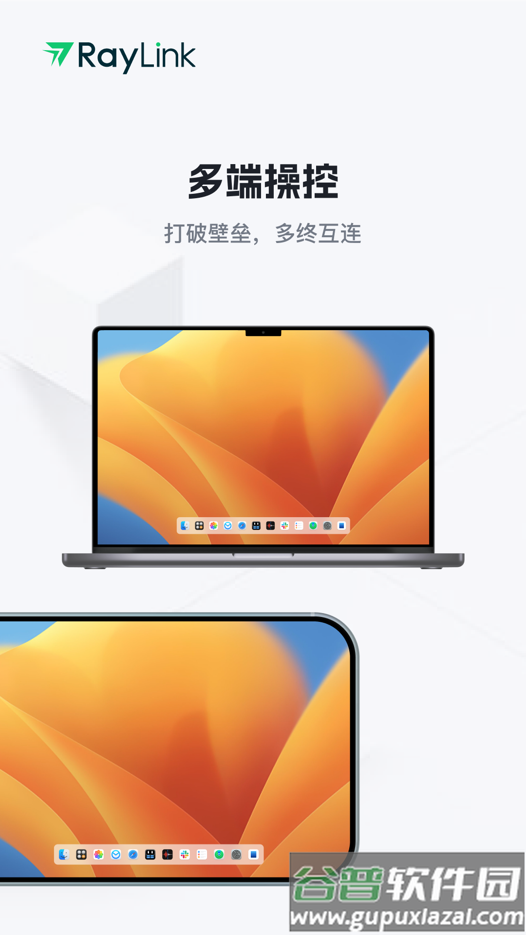 RayLink远程控制软件截图2