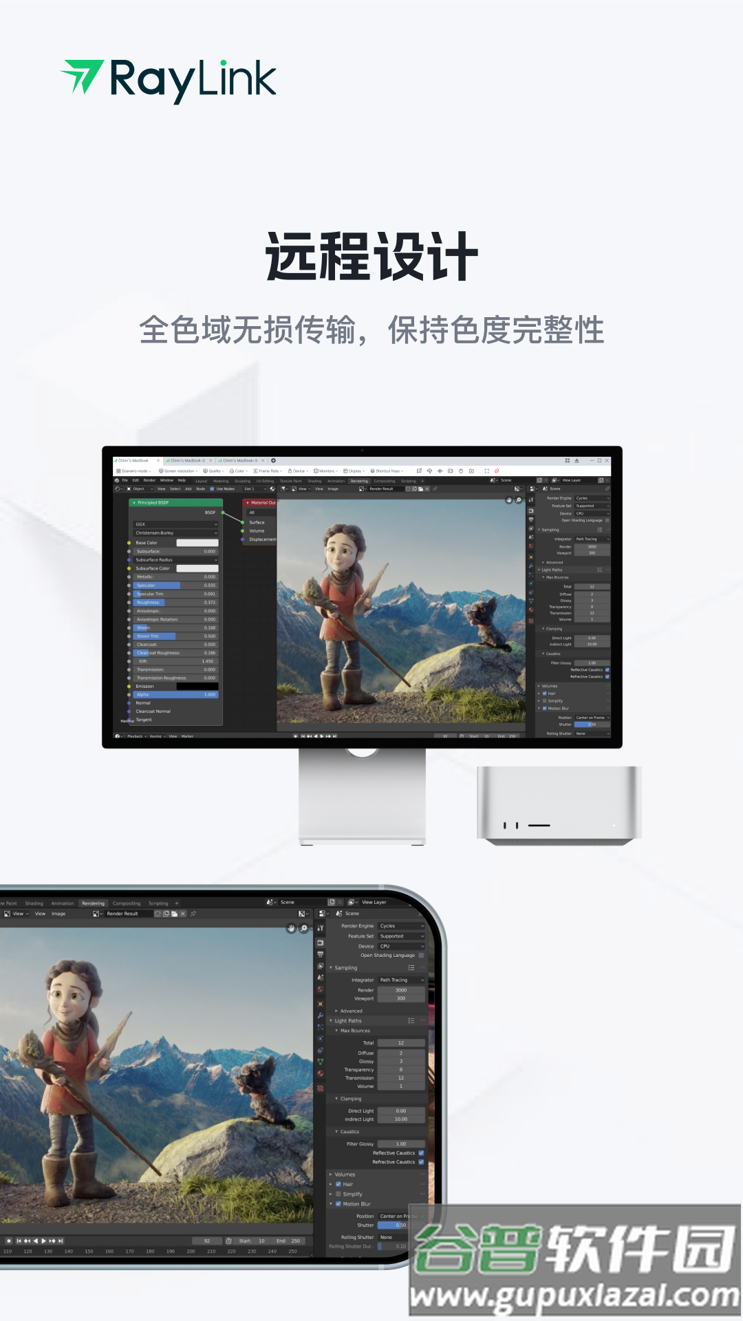 RayLink远程控制软件截图4