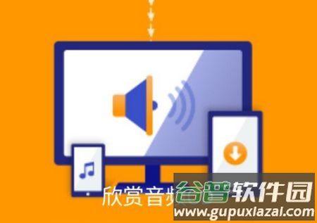 disc link platinum官方版