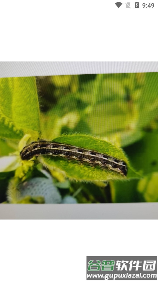 岁月相册时光故事相册app截图2