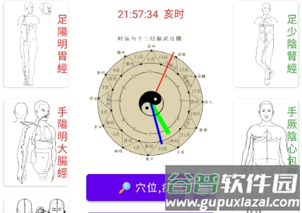 中医经络穴位流注app无广告版