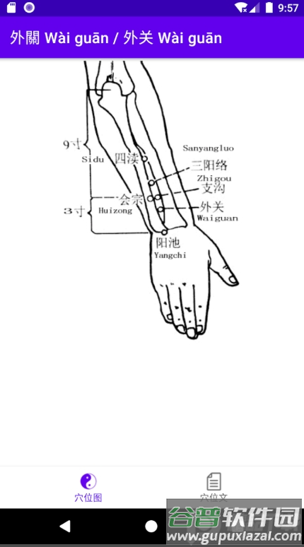 中医经络穴位流注app无广告版