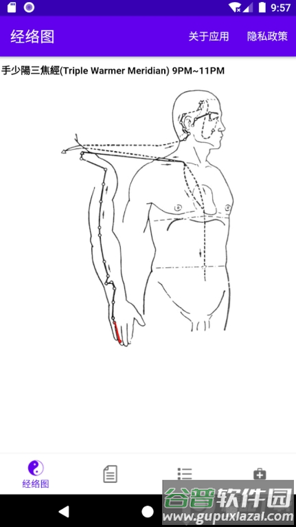 中医经络穴位流注app免费版截图6
