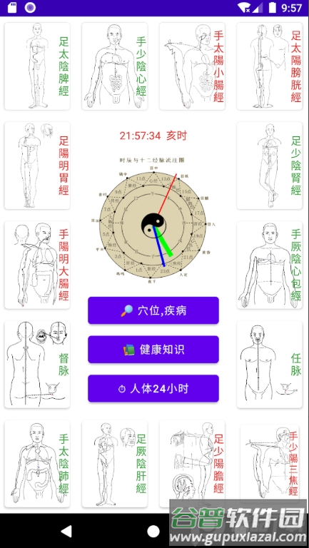 中医经络穴位流注app免费版截图7
