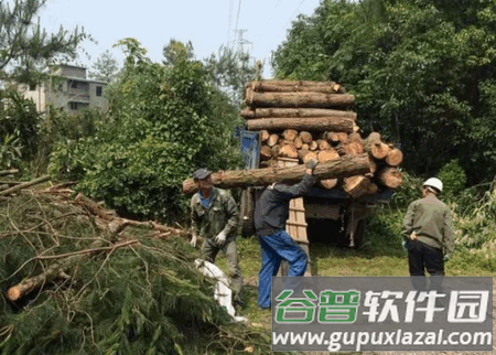 林木采伐系统app安卓版