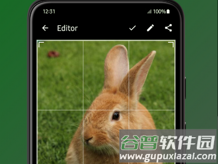 Fossify Gallery图库工具