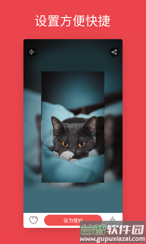 安卓动态壁纸下载安装截图2