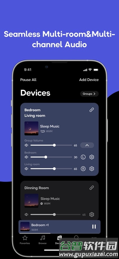 WiiM Home官方正版截图2