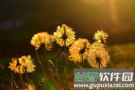 小展软件库最新版