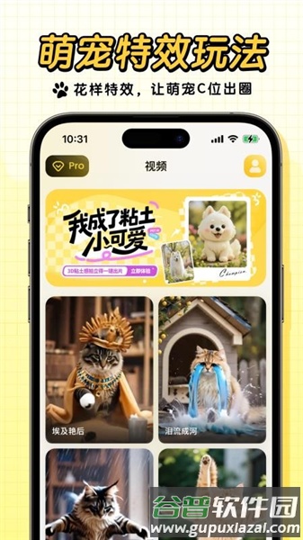 宠玩app截图3