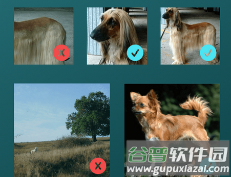 狗狗品种鉴定器app高级版