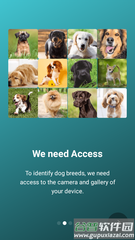 狗狗品种鉴定器app高级版