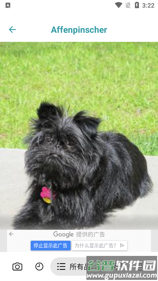 狗狗品种鉴定器app高级版截图4