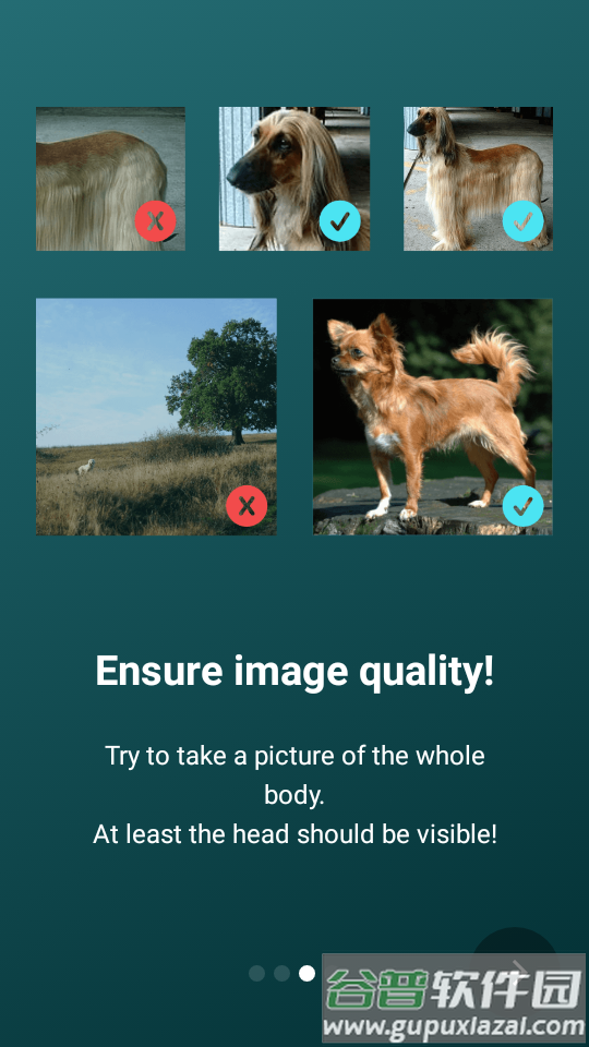 狗狗品种鉴定器app高级版截图5