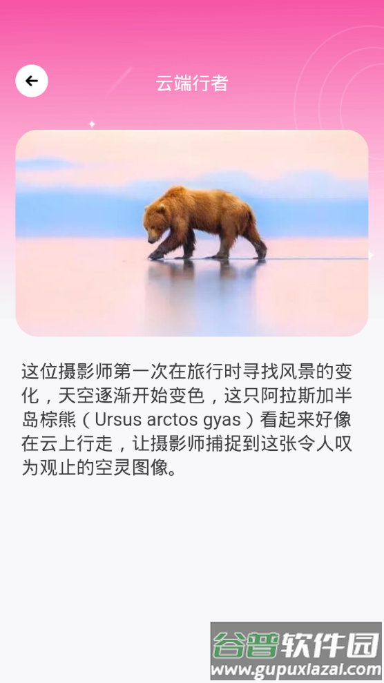 千颜秀app手机最新版截图1