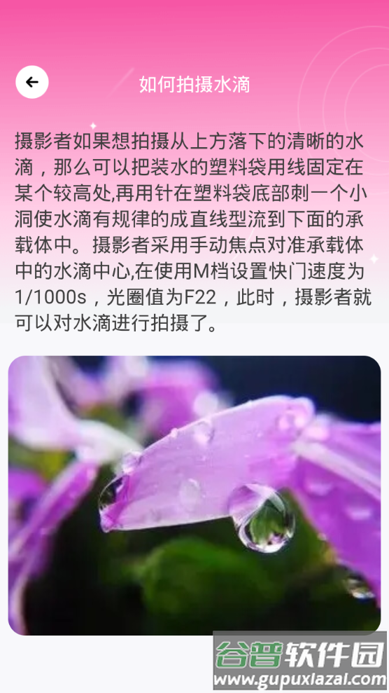 千颜秀app手机最新版截图5