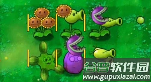 植物大战僵尸嫁接版下载截图2