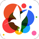 360小鸟壁纸手机版v2.1.7