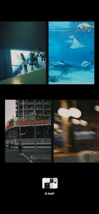 dazz胶片相机安卓版截图5