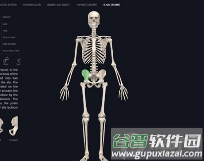 2021人体解刨学图谱破解版