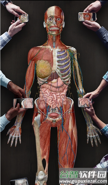 2026人体解刨学图谱Atlas截图1