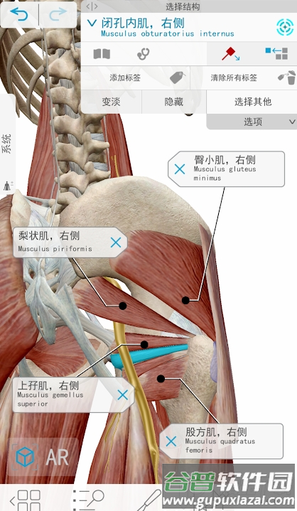 2026人体解刨学图谱Atlas截图3
